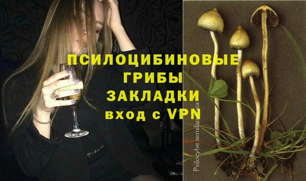 стаф Армянск
