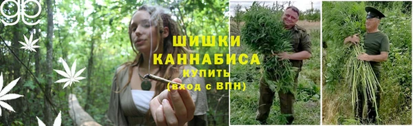 стаф Армянск