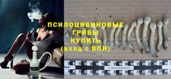 круглые Аркадак