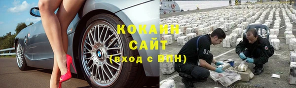 круглые Аркадак